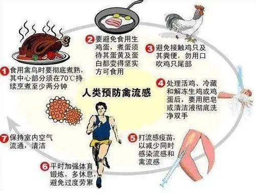 文章配图-18