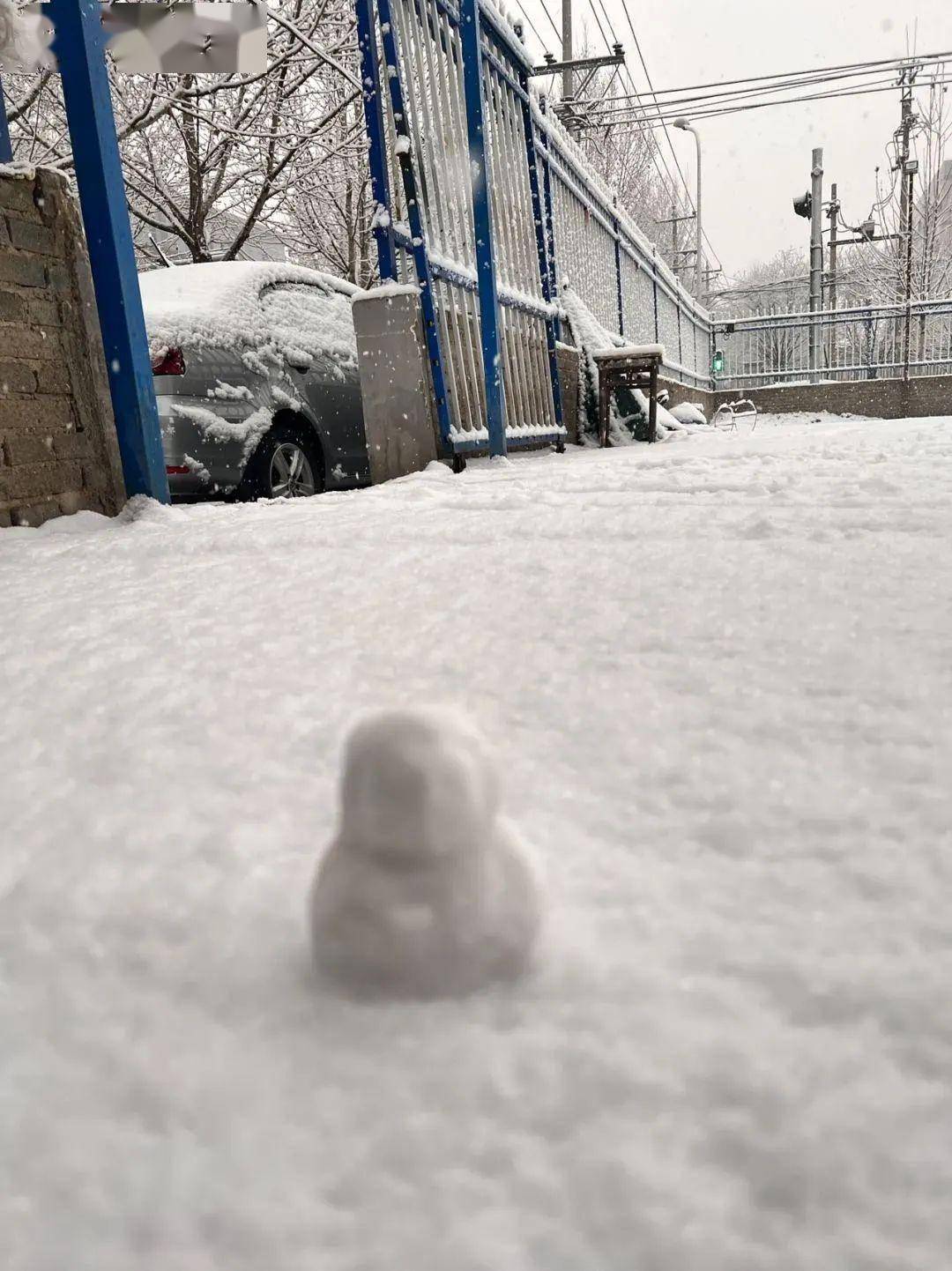 雪未完...局地中雪！预告：周末还有一场雨雪帮衬！