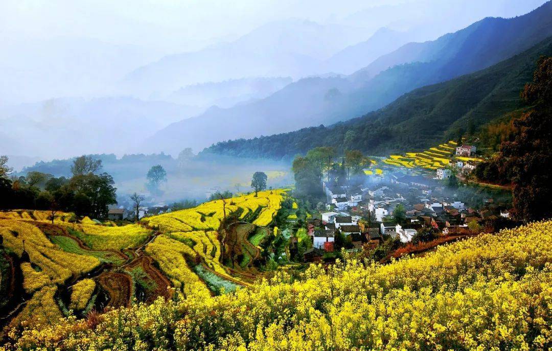 冬眠完毕，阳春三月，去婺源赴一场油菜花之约，那片地盘值得一去再去。