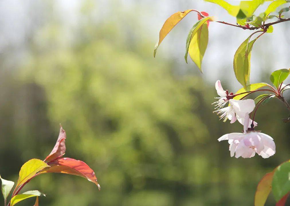 国际气象节 | 存眷天然气象，共建绿色保存情况