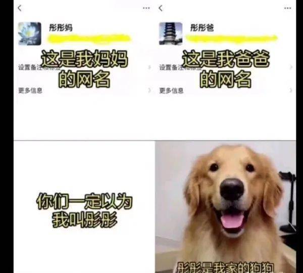 慎入！哪个蛇精病给我保举的桌面宠物蟑螂软件啊？！