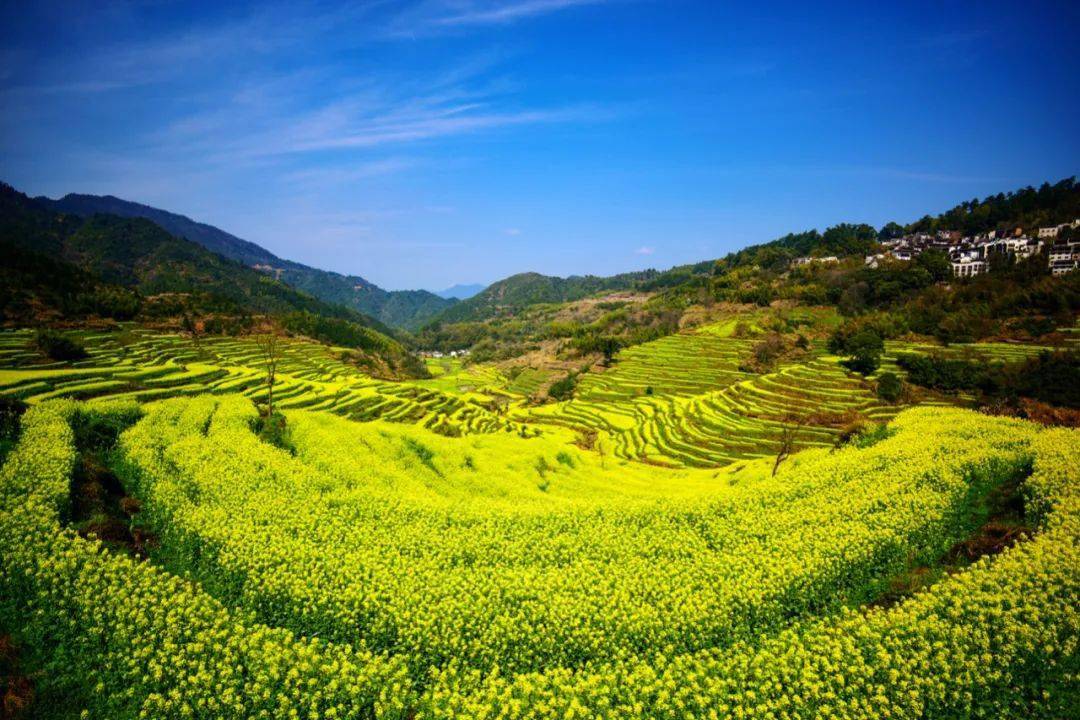 踏春赏花含双景区门票！婺源绝美悬崖小镇，绿野仙踪拍大片，高铁2h中转~