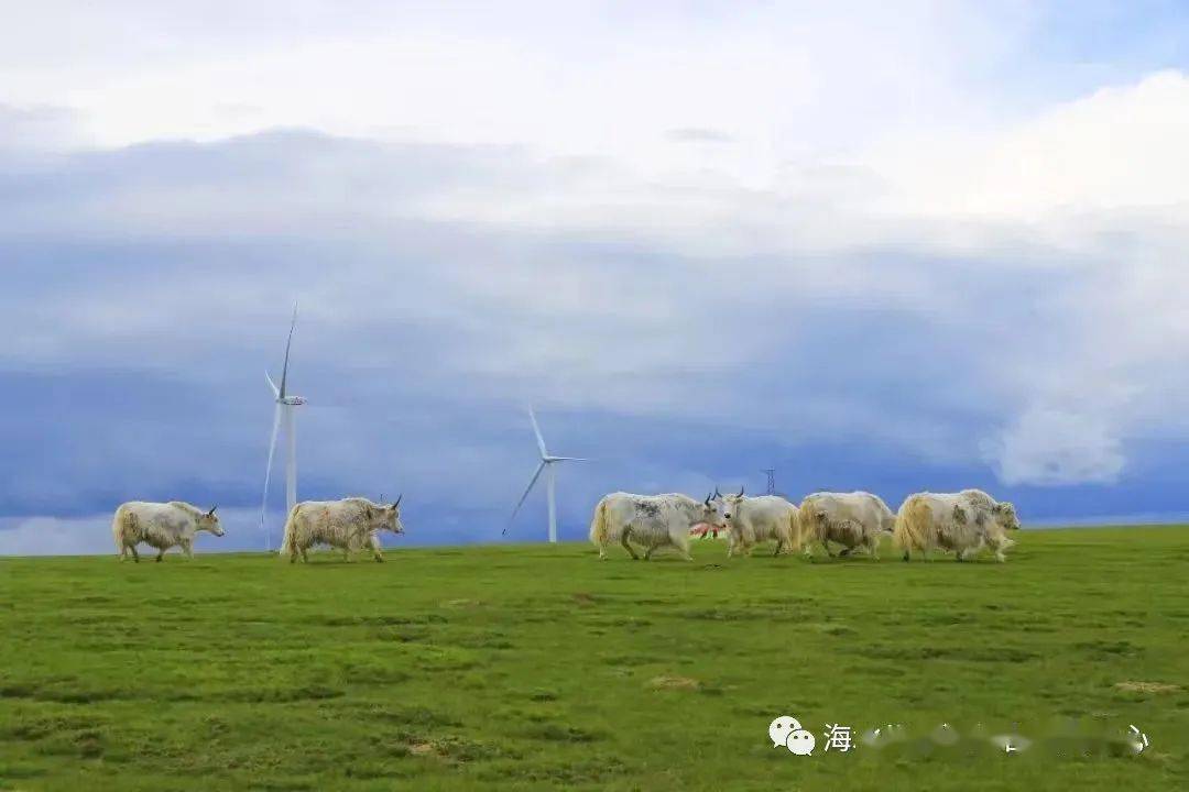 【旅游攻略】“丝绸之路”四日游全新旅游线路保举