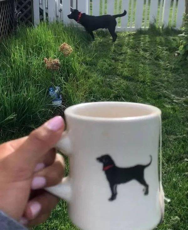 十万分之一的巧合