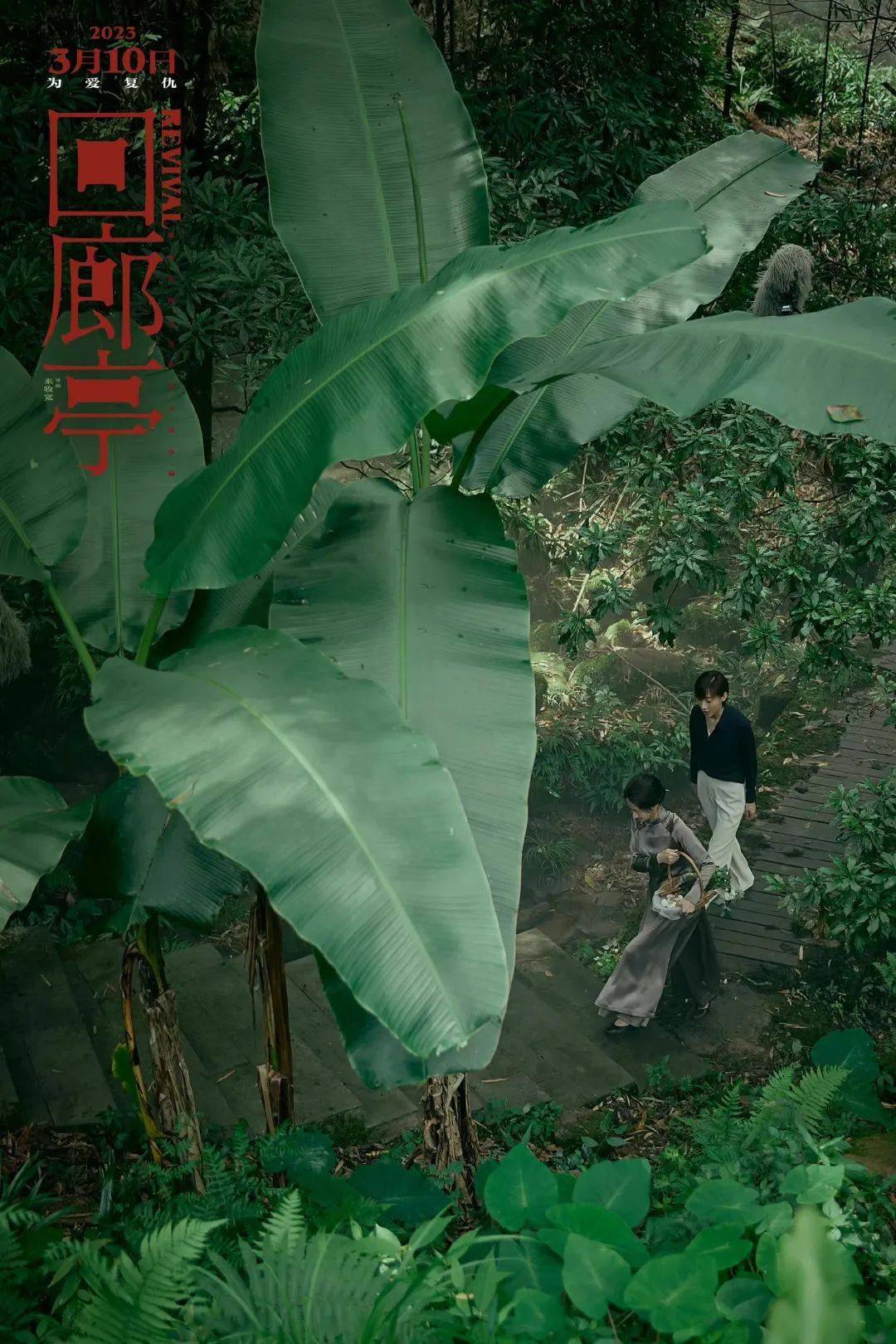 《回廊亭》你看了吗？又一部在都江堰取景的片子上映啦！一路来重温那些年在都江堰取景的影视做品~