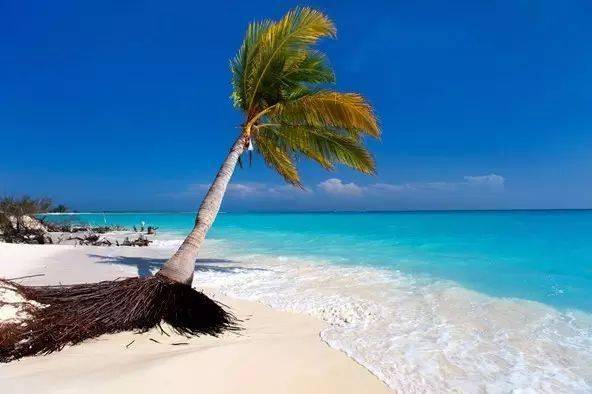 ��֪��������������ϸ��ɳ̲����ʵ���㡾��㡿��