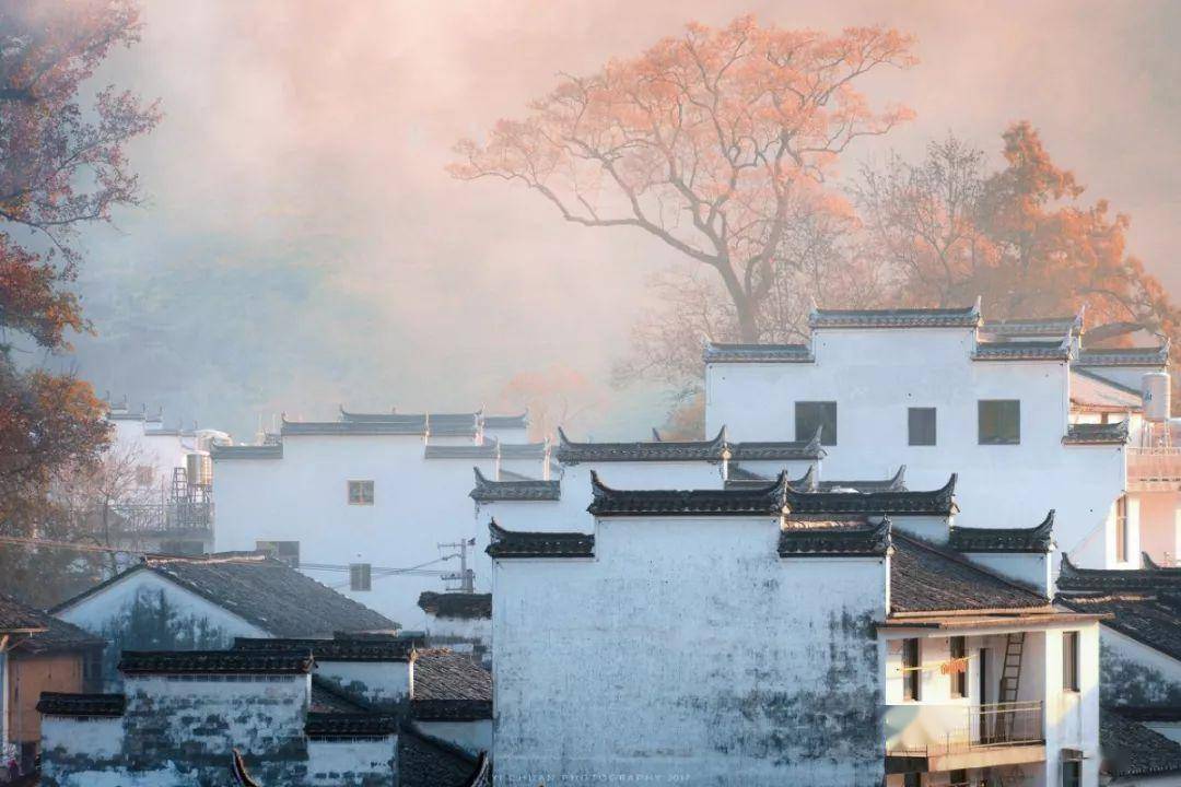 保藏！11月旅游地保举！错峰出游，那些处所已经美成仙境！