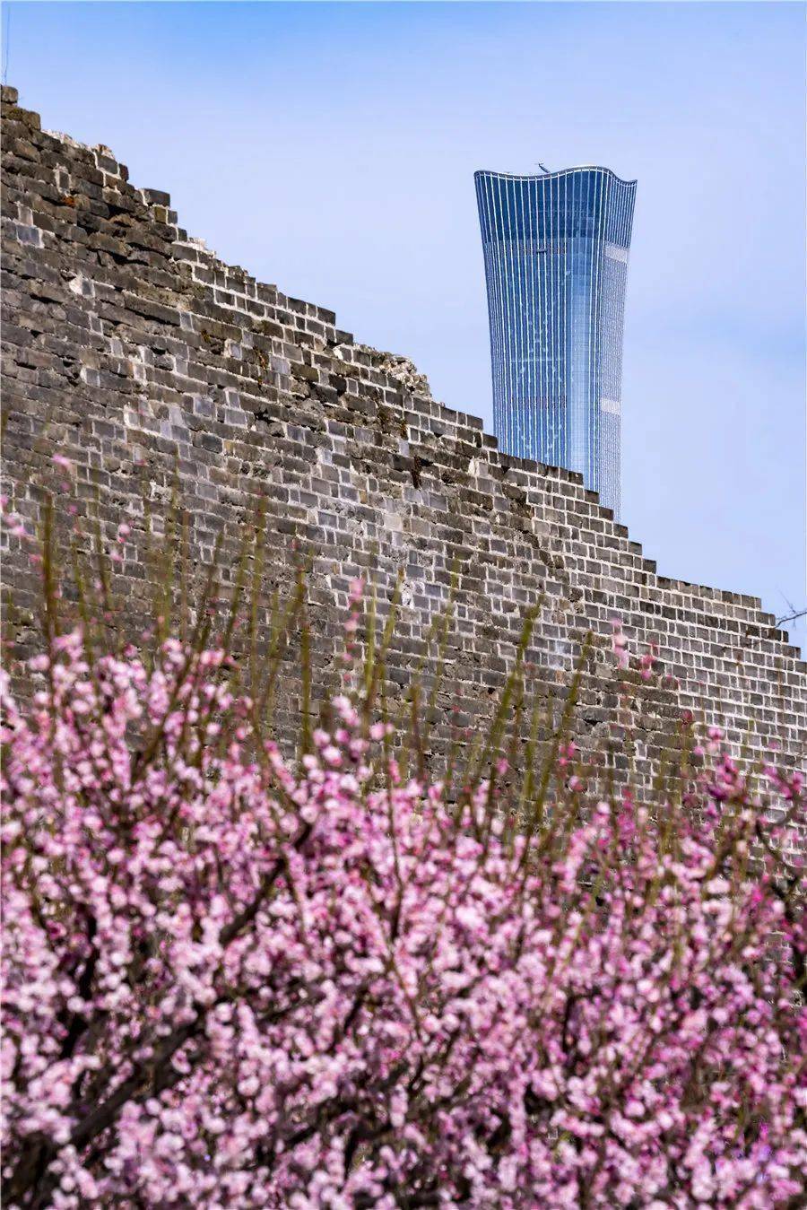 北京超美的9大拍花地，你确定不去看一下吗！