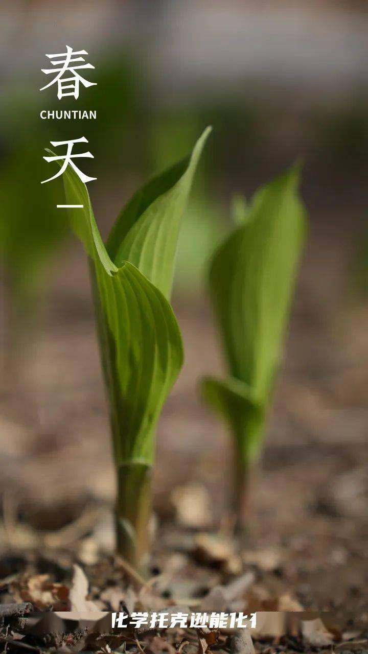 能化图集 | 春日奋斗图鉴