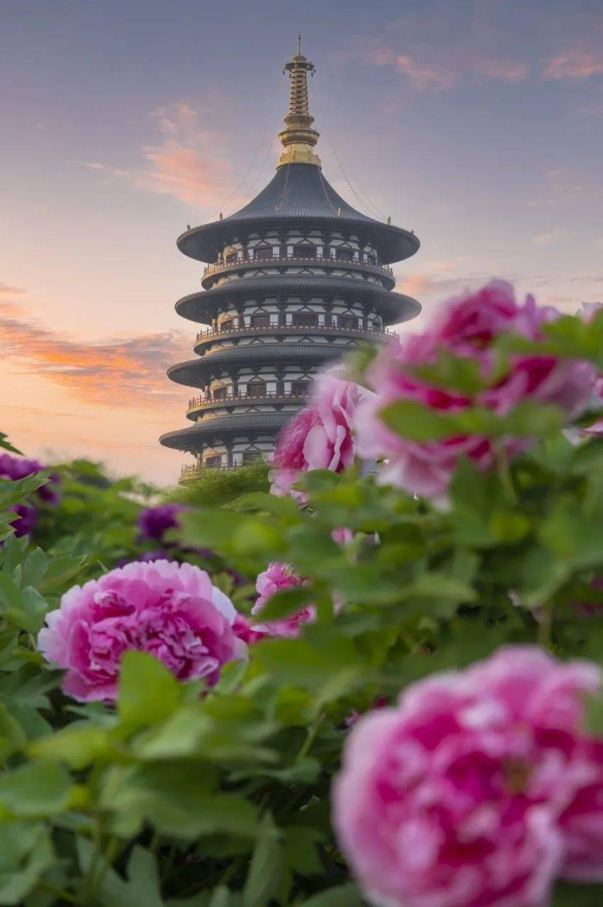 �й���һ�Ʋ���5A������Ƿծ4���ڣ���Ʊ���Ǽۣ���Ȫˮֻ ...