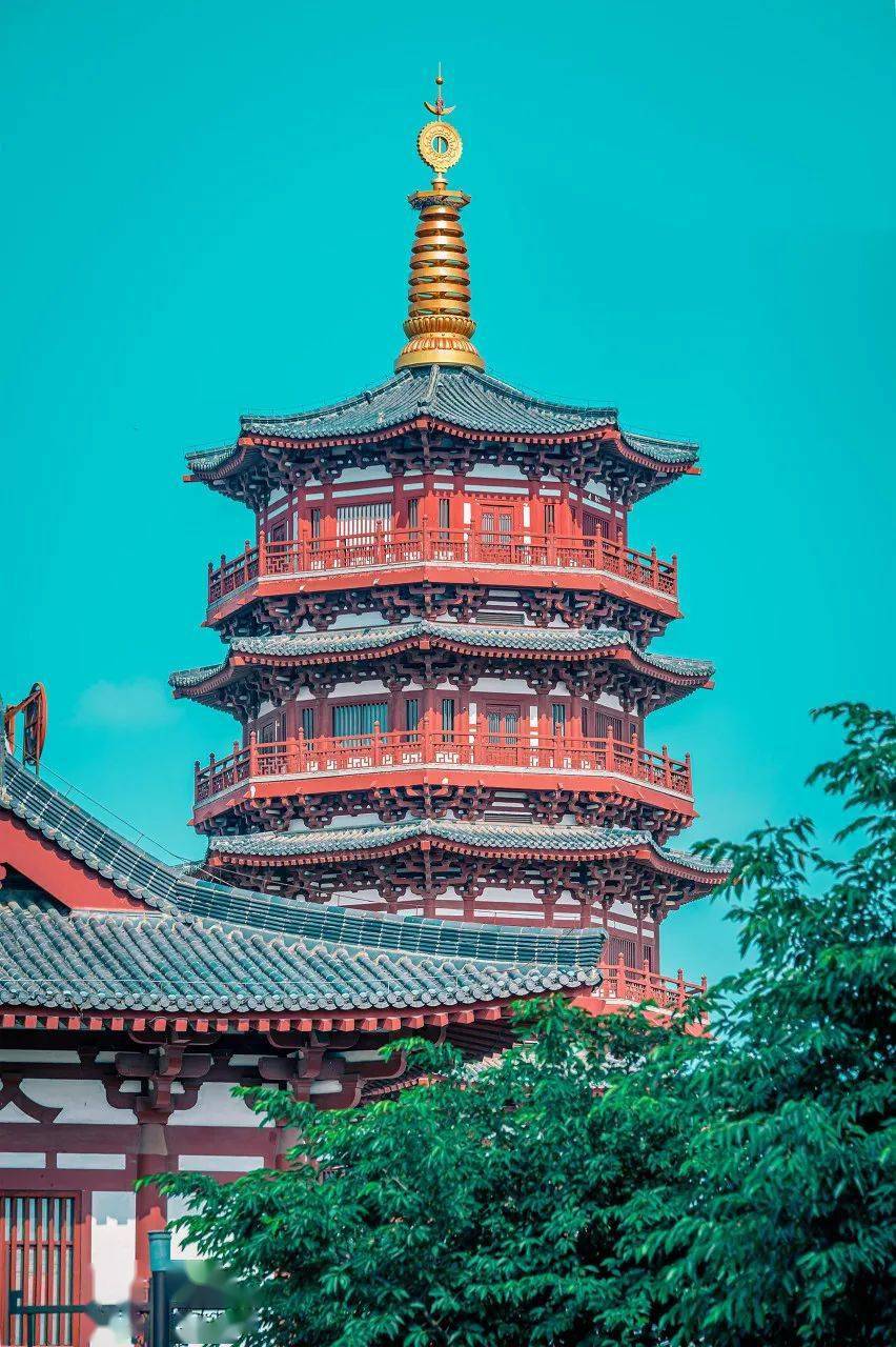 �й���һ�Ʋ���5A������Ƿծ4���ڣ���Ʊ���Ǽۣ���Ȫˮֻ ...