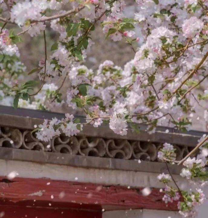 ���չ��ԣ�ʲô����˵TA ���һ����ۣ�