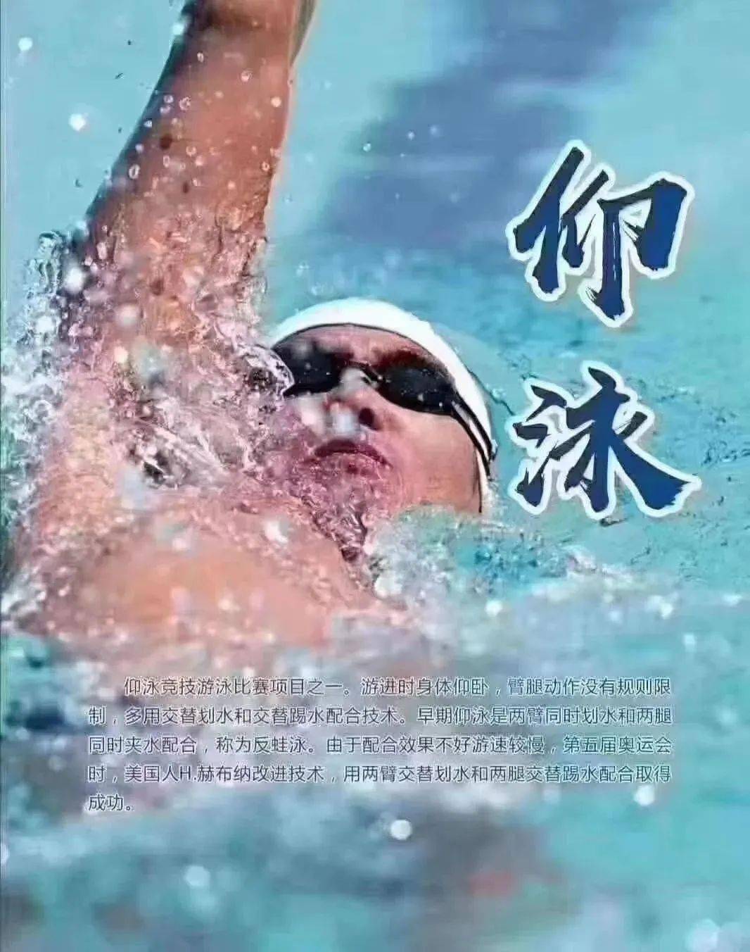 文章配图-16