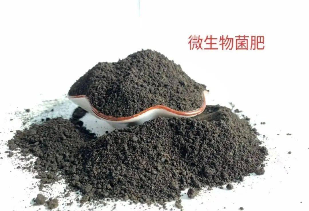 哈茨木霉菌和枯草芽孢杆菌选哪个好？看完终于明白了！