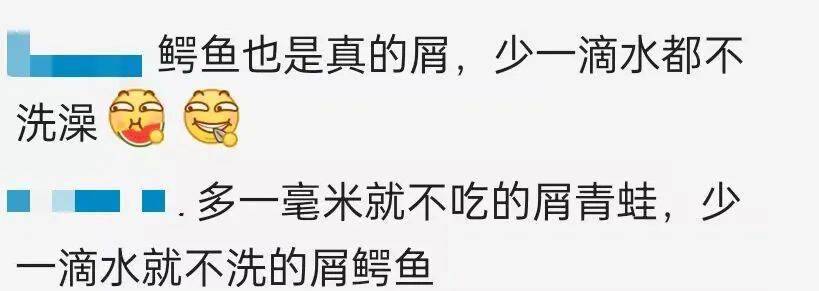 实况足球2016绿茵传奇,实况足球2013绿茵传奇怎么要球 实况足球2016绿茵传奇,实况足球2013绿茵传奇怎么要球