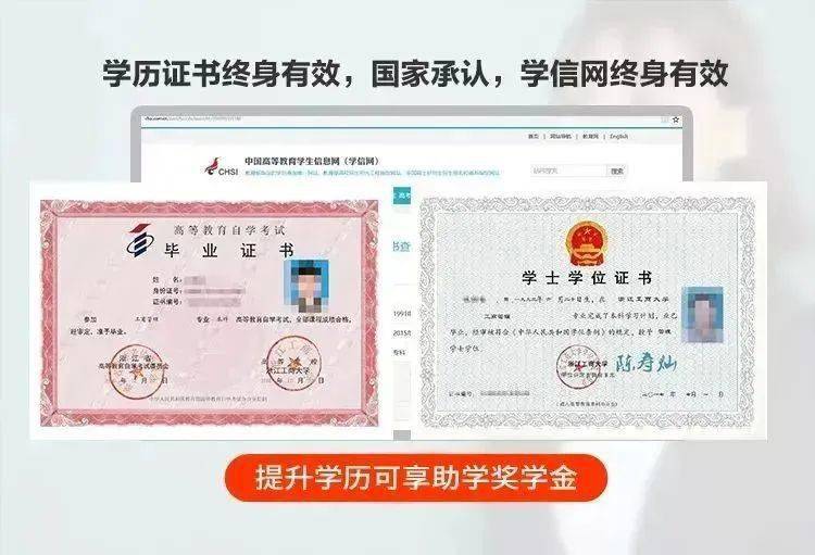 毕业证书电子注册号在哪里