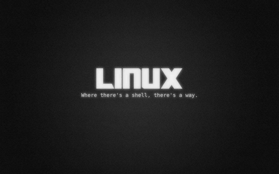 在 Linux 中传输文件文件夹的 10个 scp 命令