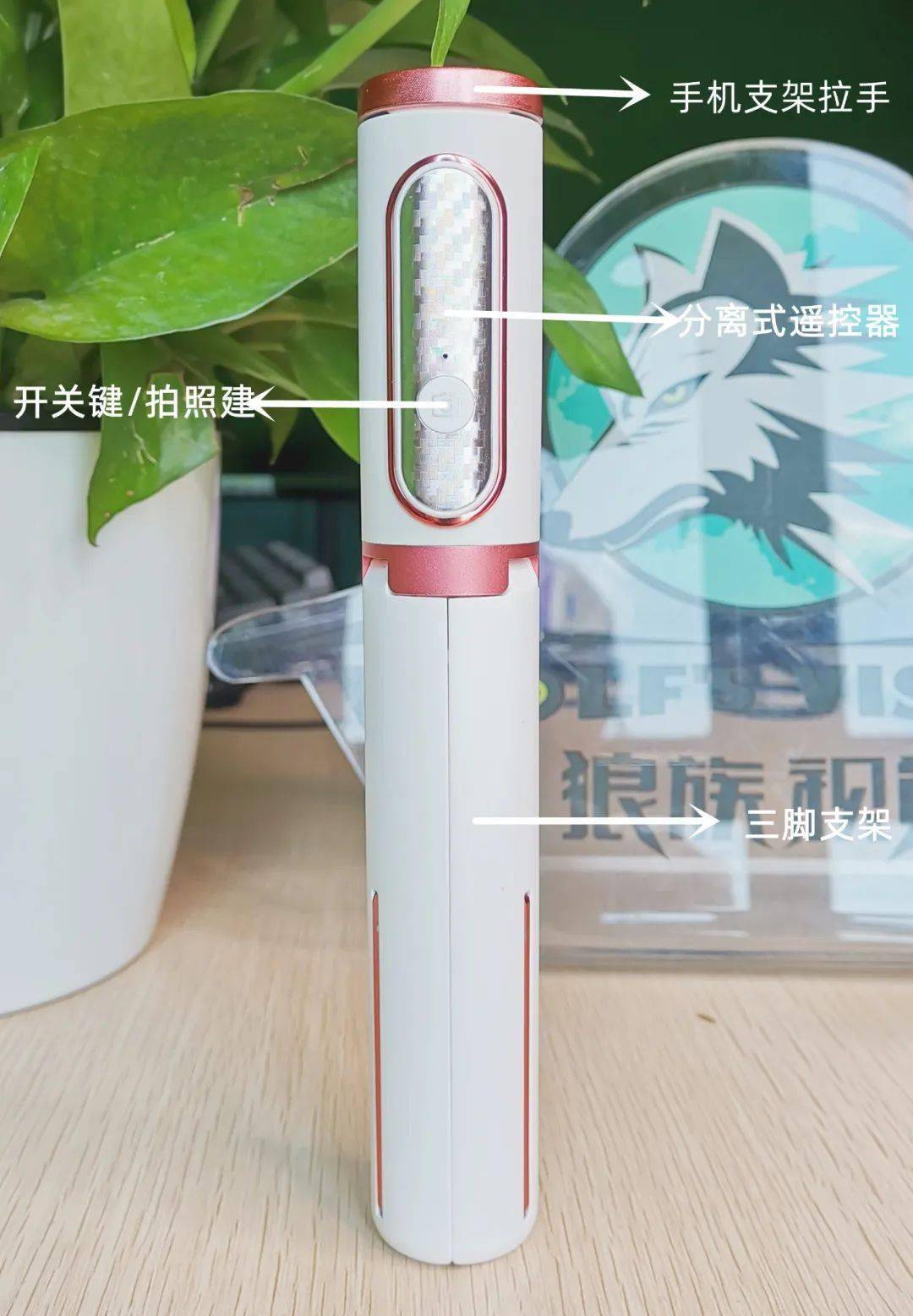 杆女生出行必备超小可爱的自拍(图4)