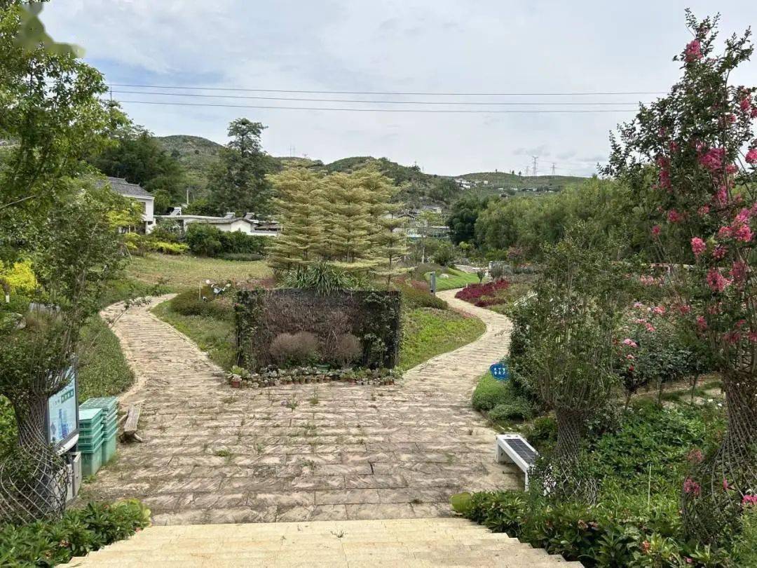 攀西芒果产业发源地 崛起了一座“吃阳光饭”的“零碳村”(图11)