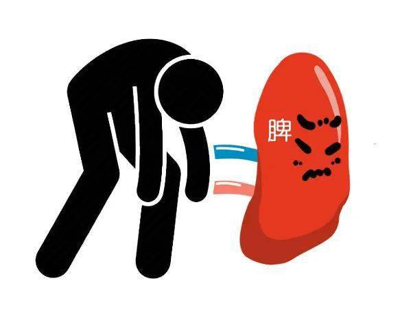 重。脾为至阴之脏，喜燥恶湿。 脾脏一旦受湿气伤扰，则会导致脾气不畅。