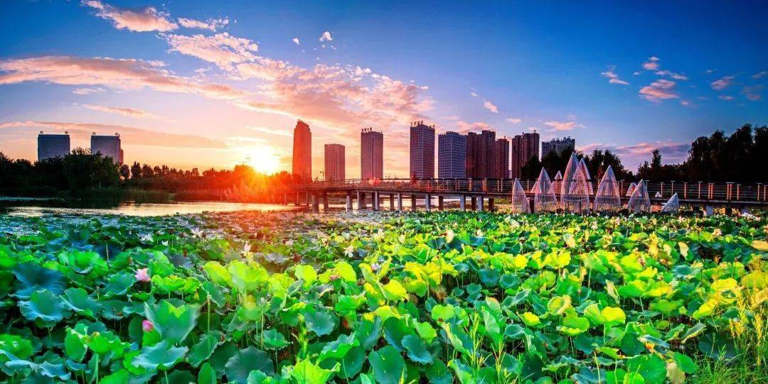 IM电竞许昌不锈钢产业链:从“收破烂”到百亿级(图3) IM电竞许昌不锈钢产业链:从“收破烂”到百亿级(图3)