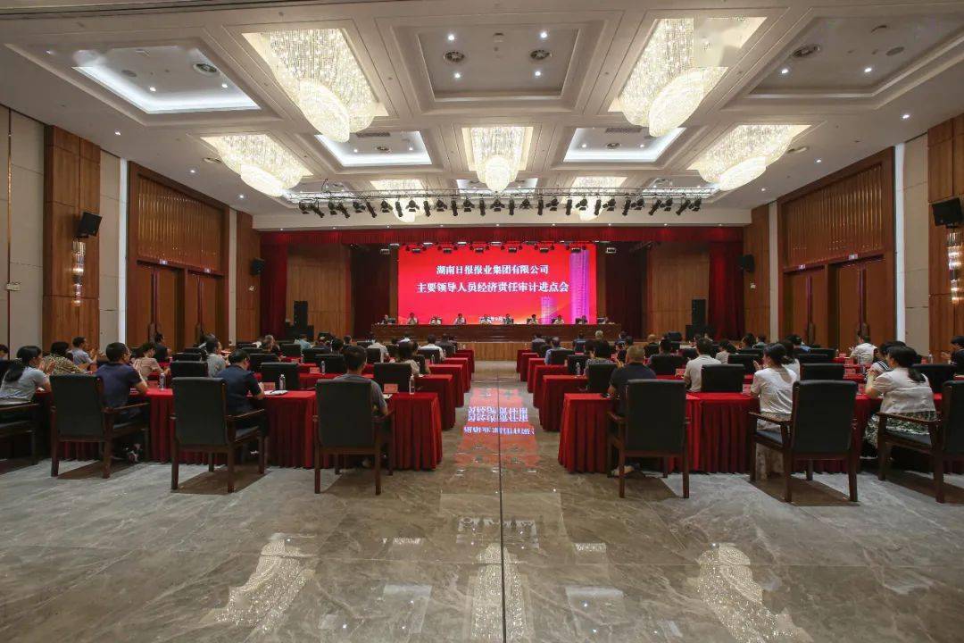 手机看电影软件:湖南日报报业集团有限公司主要领导人员经济责任审计进点会召开