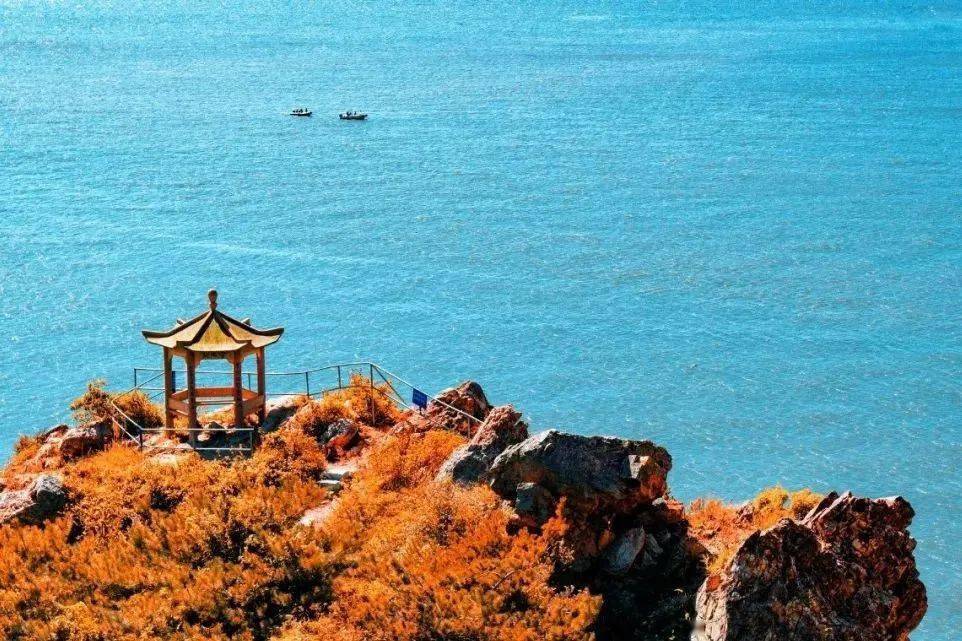 开云APP 开云官网入口推荐！6条庄河“高颜值”休闲农业和乡村旅游精品线路(图6)
