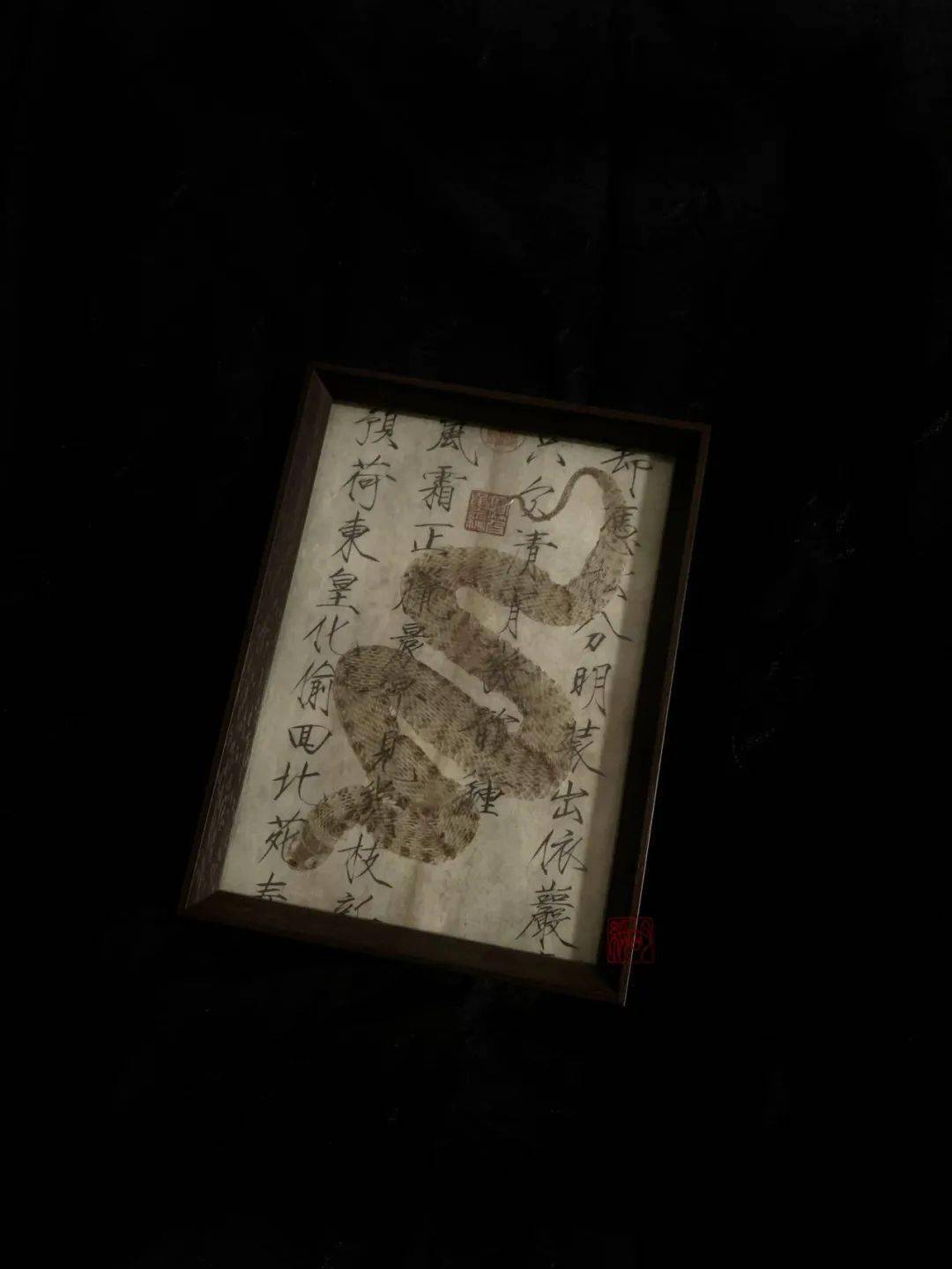 文章配图-236