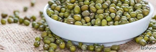 盘点绿豆是寒性食物吗?绿豆是寒性食物吗