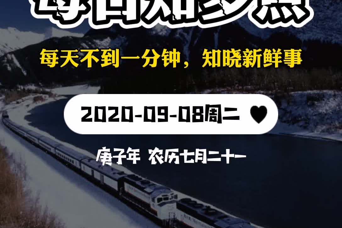 今日新鲜事"花小猪"在郑州违规运营