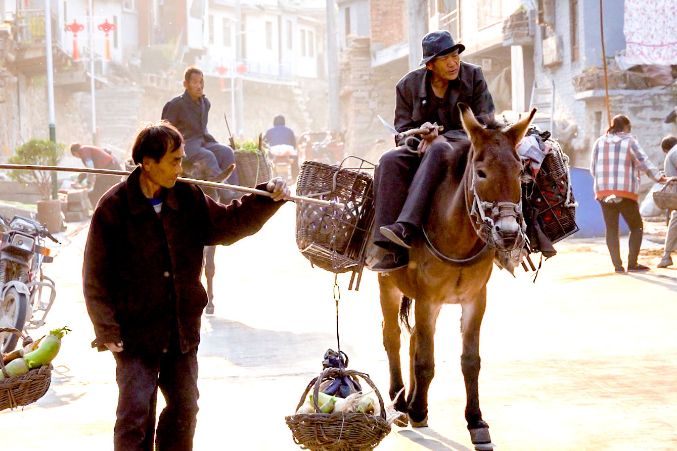 相比来说,太行驴比渤海驴好吃一些于是在种种际会之下,驴肉火烧就诞生