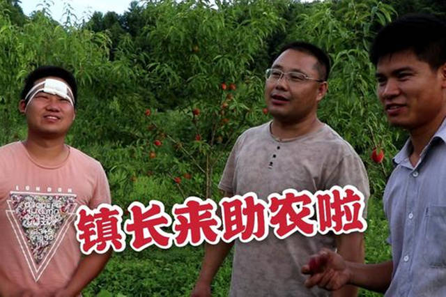 小农乡的个人展示页