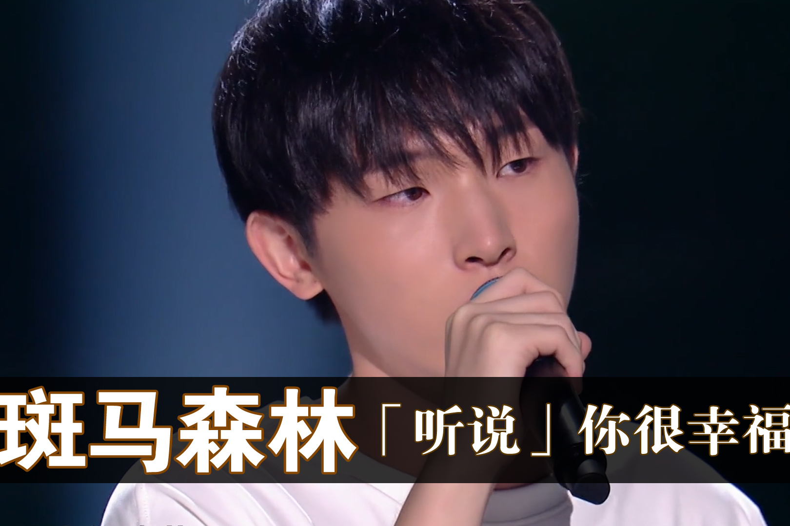 斑马森林乐队听说的可贵愿你总有情难自抑少年如初