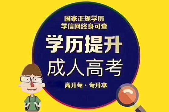 学历提升报名
