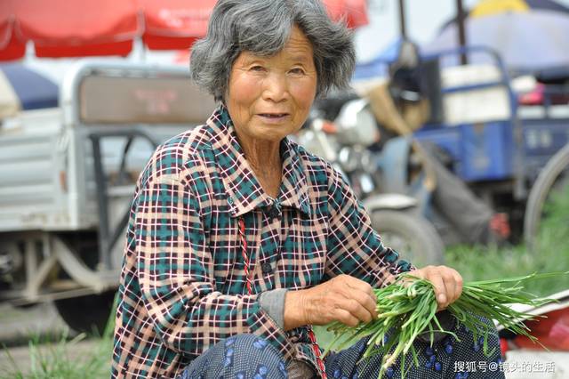 原创 七旬大娘遇"贵人",一亩韭菜,一棵"摇钱树",晚年生活充实且满足