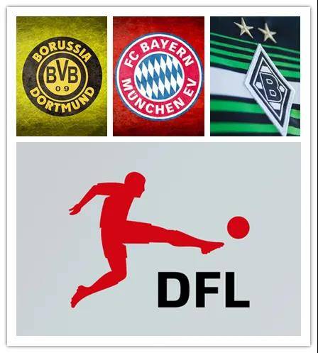 ds足球app的个人展示页