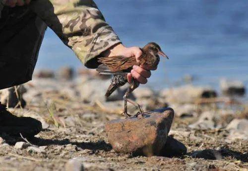 魅力新余的个人展示页