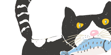 猫咪刚到新家，躲起来怎么办？