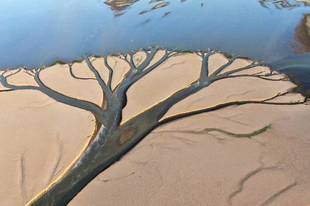 应急部发布去年灾害情况 中西部受灾重