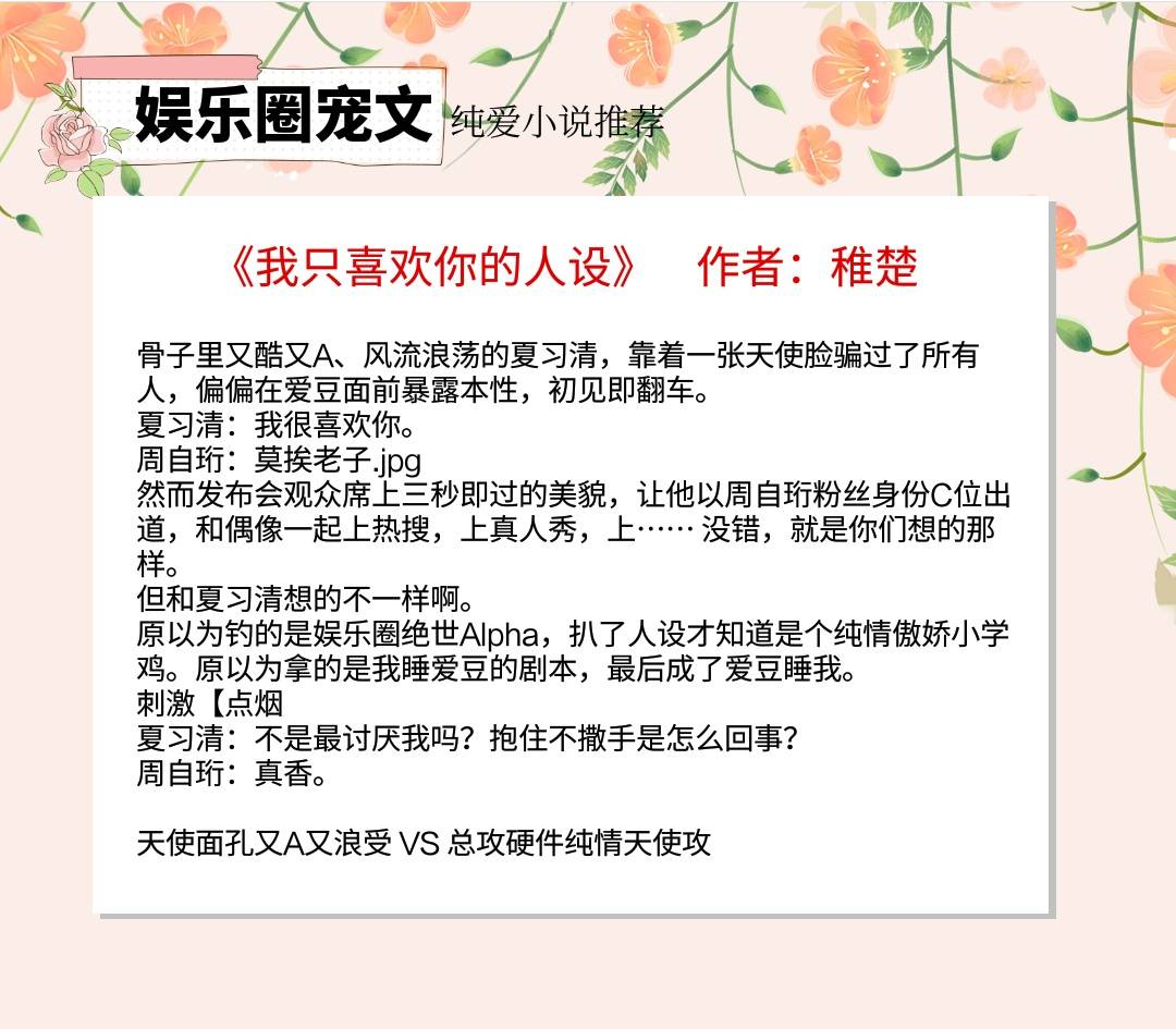 2,书名:《我只喜欢你的人设》