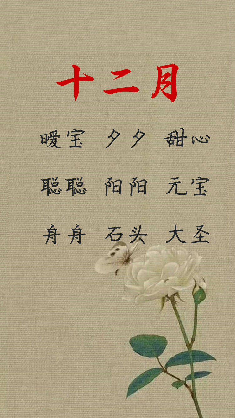 2020年出生的鼠宝宝小名乳名可爱好听