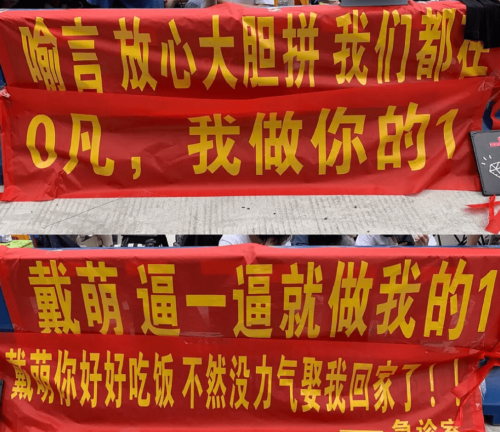 原创有种"土味应援"叫《青你2》,河人横幅应援不