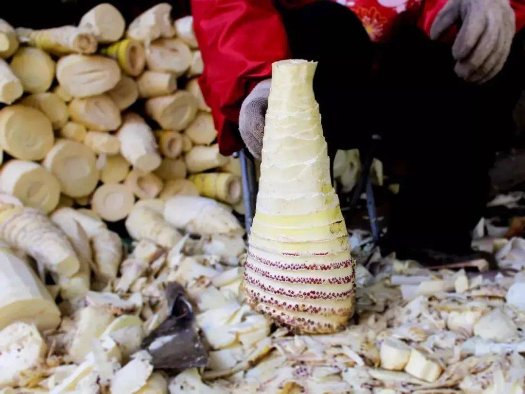 云味十二道蕴含浓郁客家乡愁的汀州白玉笋