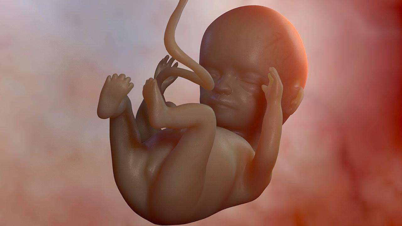 怀孕67天胎儿高清图图片