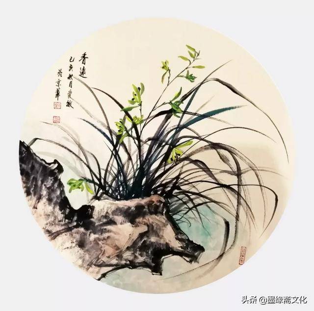 画家刘爱敏兰草作品赏析