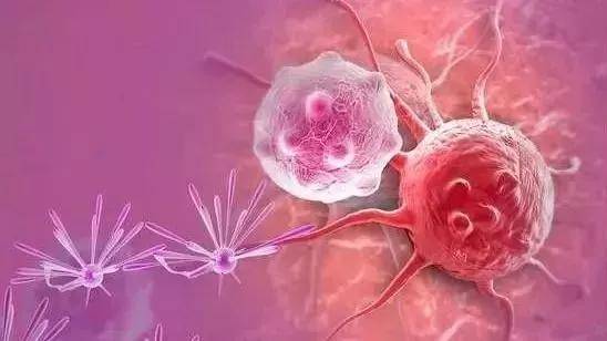 干细胞 | 预防、治疗、抗衰、防癌，让年轻健康看得见