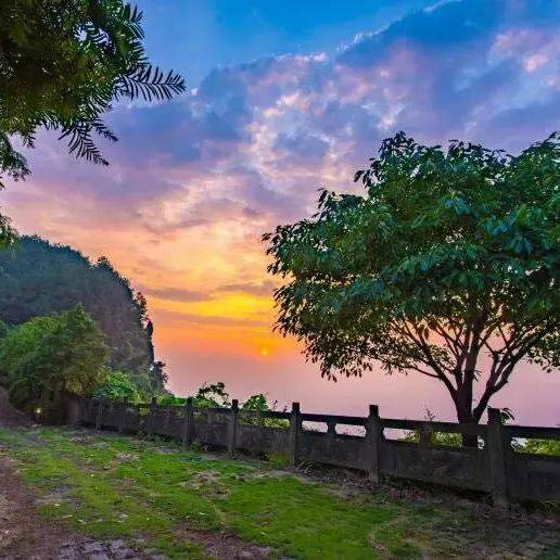 重慶巴南農家樂這家嘿有特色,採靈芝,觀雲海,看日出日落『紅豆杉山莊