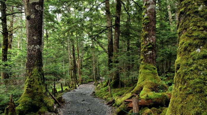 被迫转型还是主动放弃？扫地机器人第一股科沃斯年报折射战略短视-家电圈官网