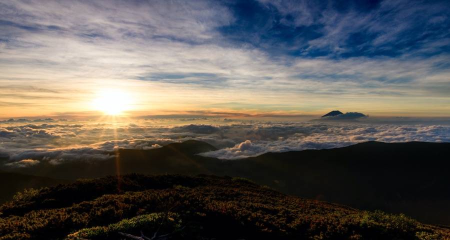 跟不上时代变化的步伐，一些家电厂商的转型注定以“失败收场” ！-家电圈官网