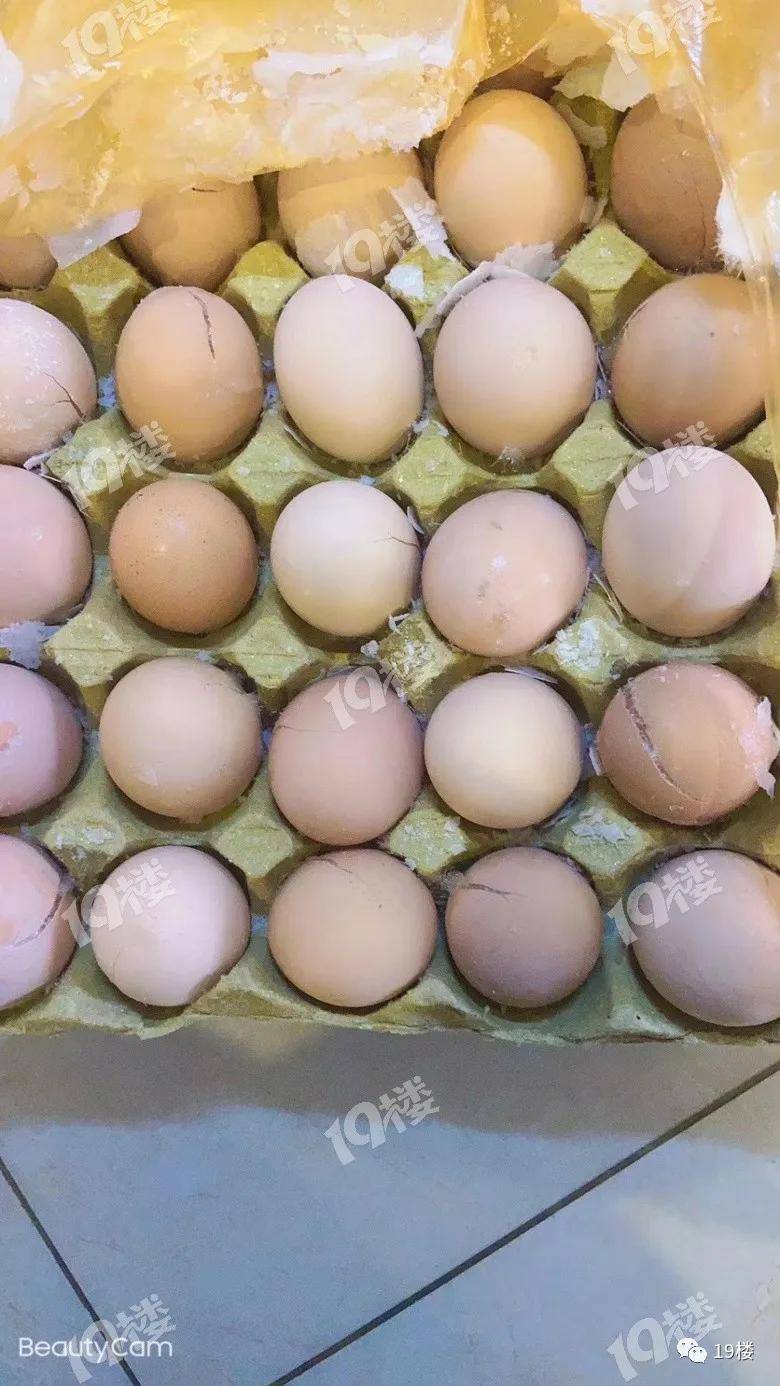 哈哈哈哈哈!丈夫竟这样处理鸡蛋,妻子看后发出灵魂拷问